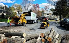 Best Emergency Tree Removal  in Maugansville, MD