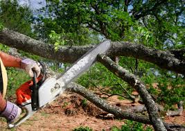 Best Lot and Land Clearing  in Maugansville, MD